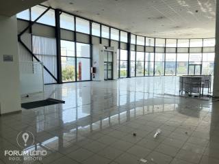 Forumland Real Estate, ισόγειο