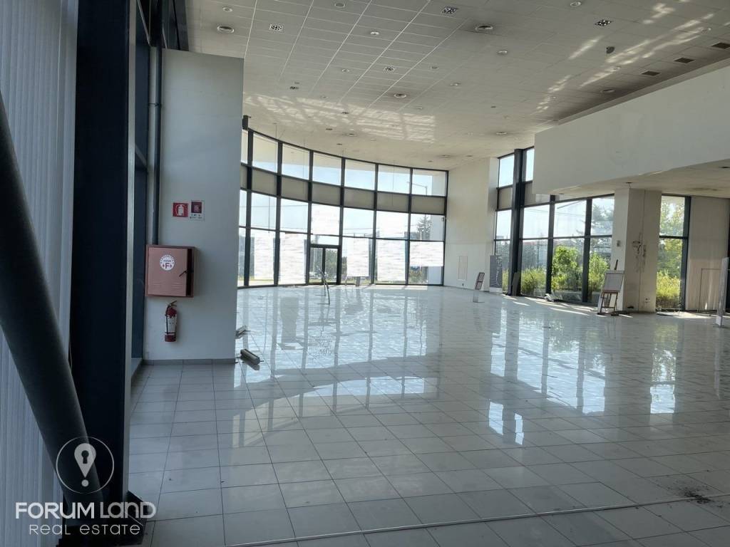 Forumland Real Estate, ισόγειο