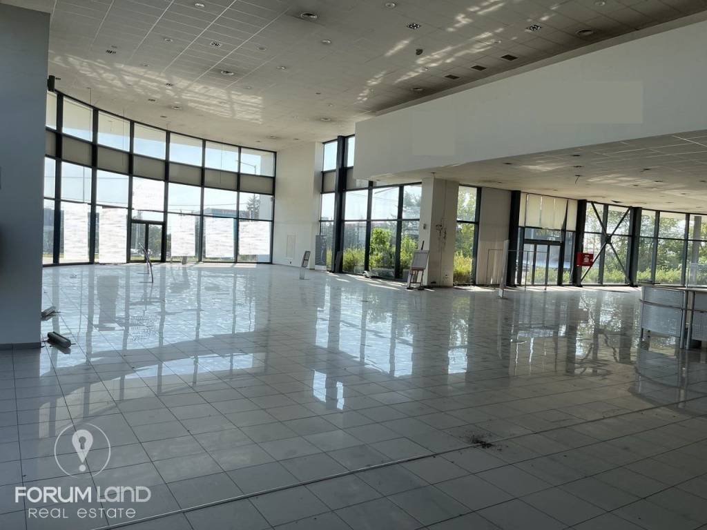 Forumland Real Estate, ισόγειο