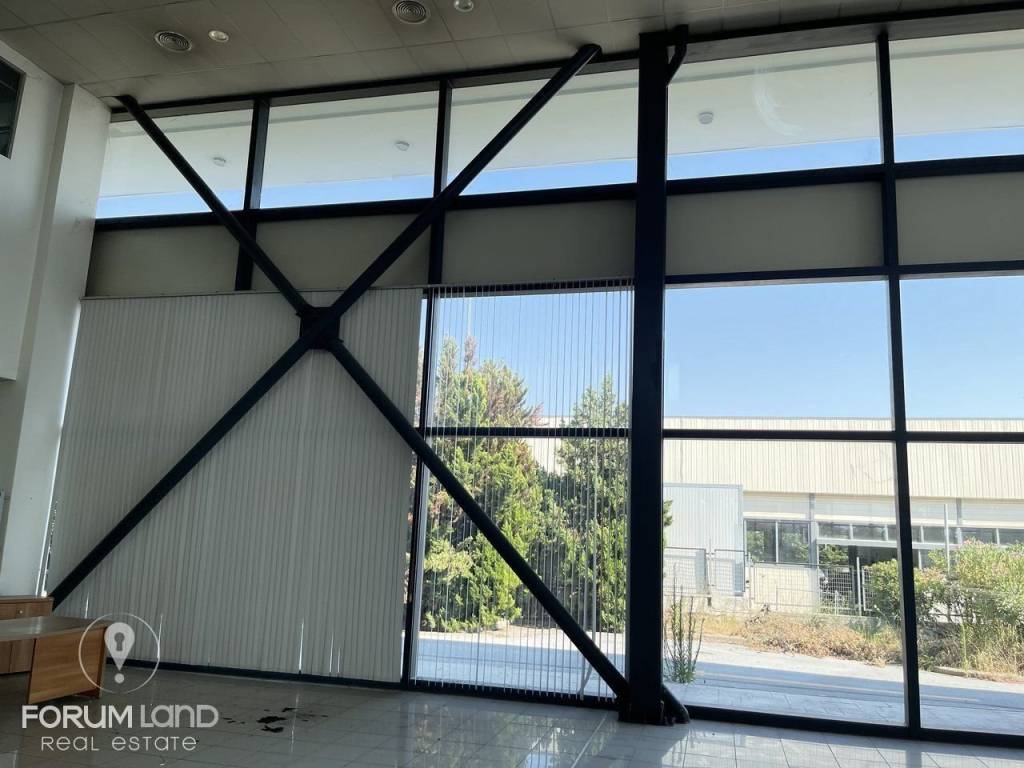 Forumland Real Estate, ισόγειο