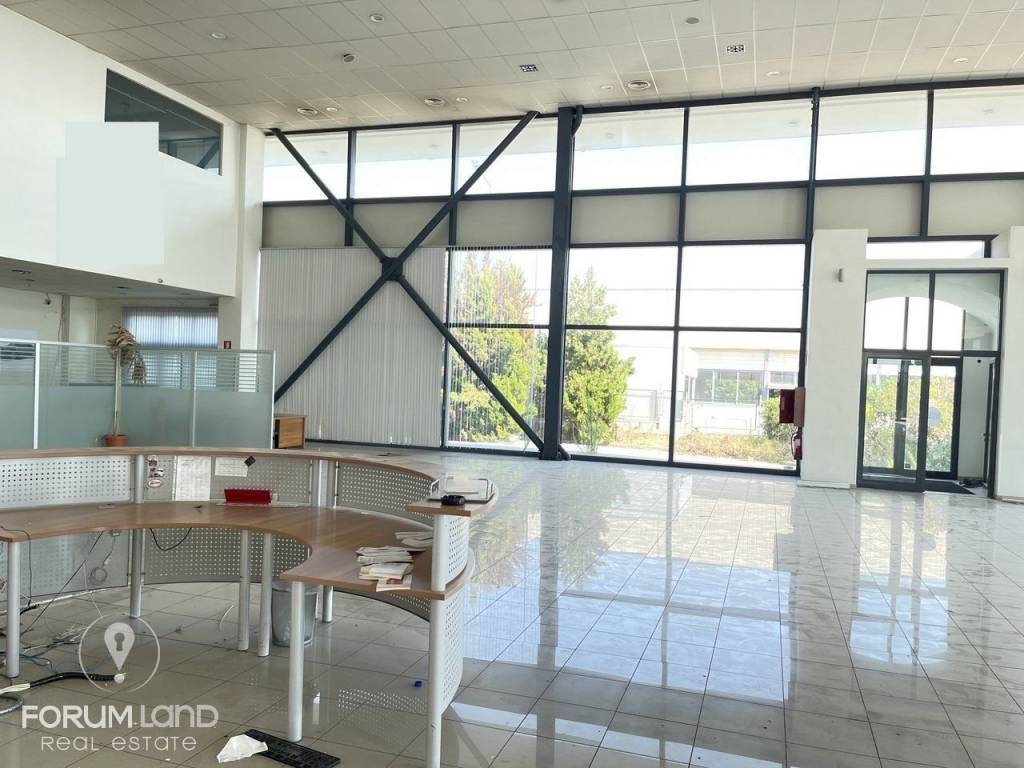 Forumland Real Estate, ισόγειο