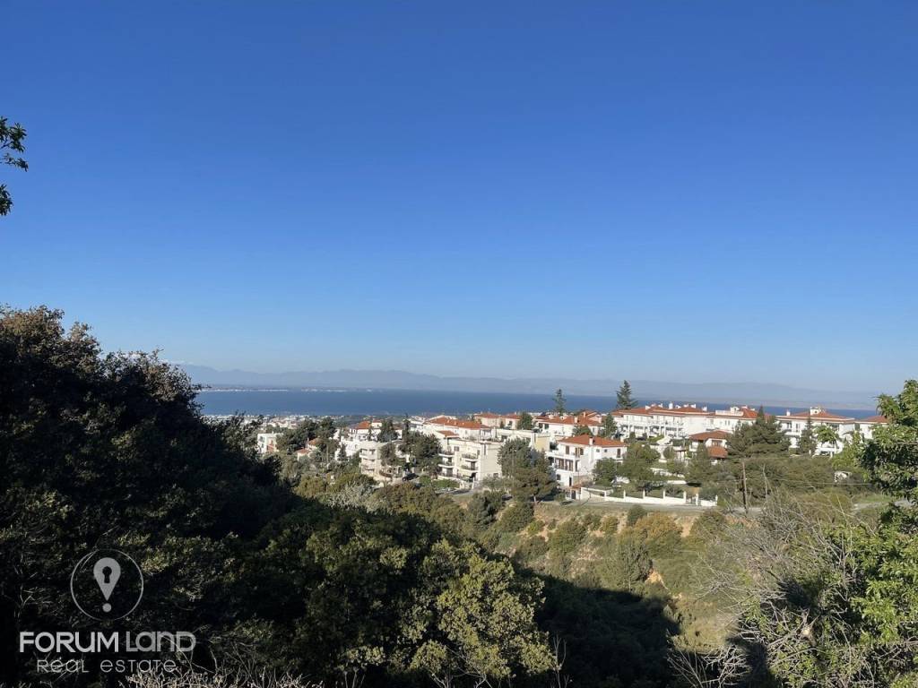 Forumland Real Estate, Αγροτεμάχιο