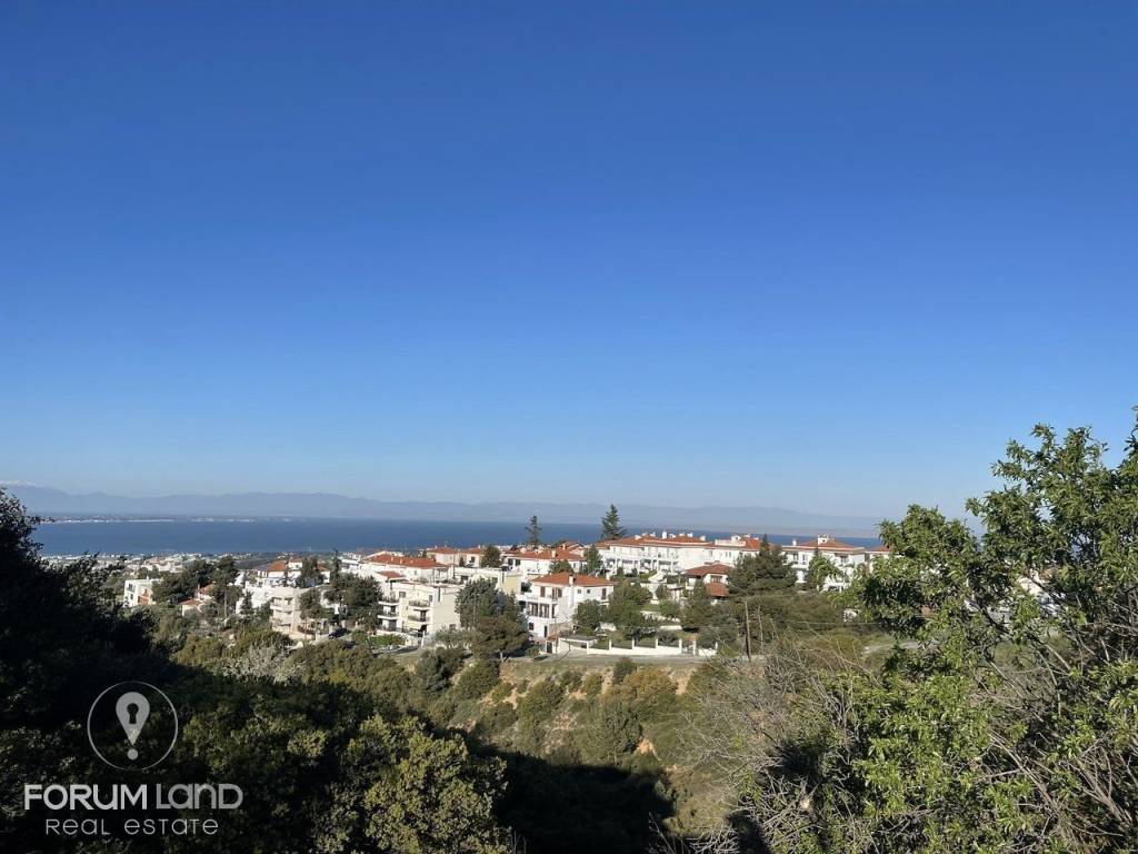 Forumland Real Estate, αγροτεμάχιο