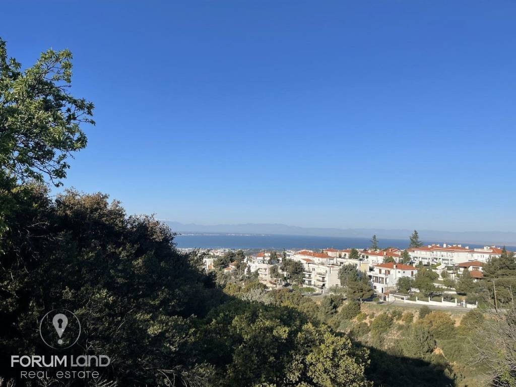 Forumland Real Estate, αγροτεμάχιο