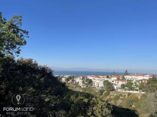 Forumland Real Estate, αγροτεμάχιο