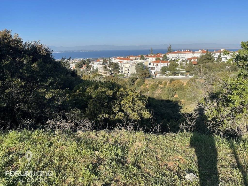 Forumland Real Estate, αγροτεμάχιο