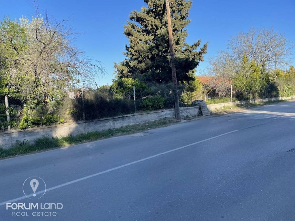 Forumland Real Estate, αγροτεμάχιο