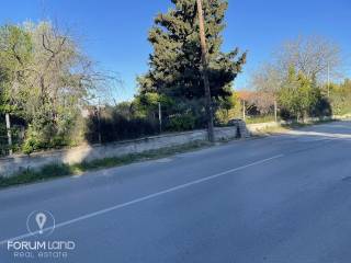 Forumland Real Estate, αγροτεμάχιο