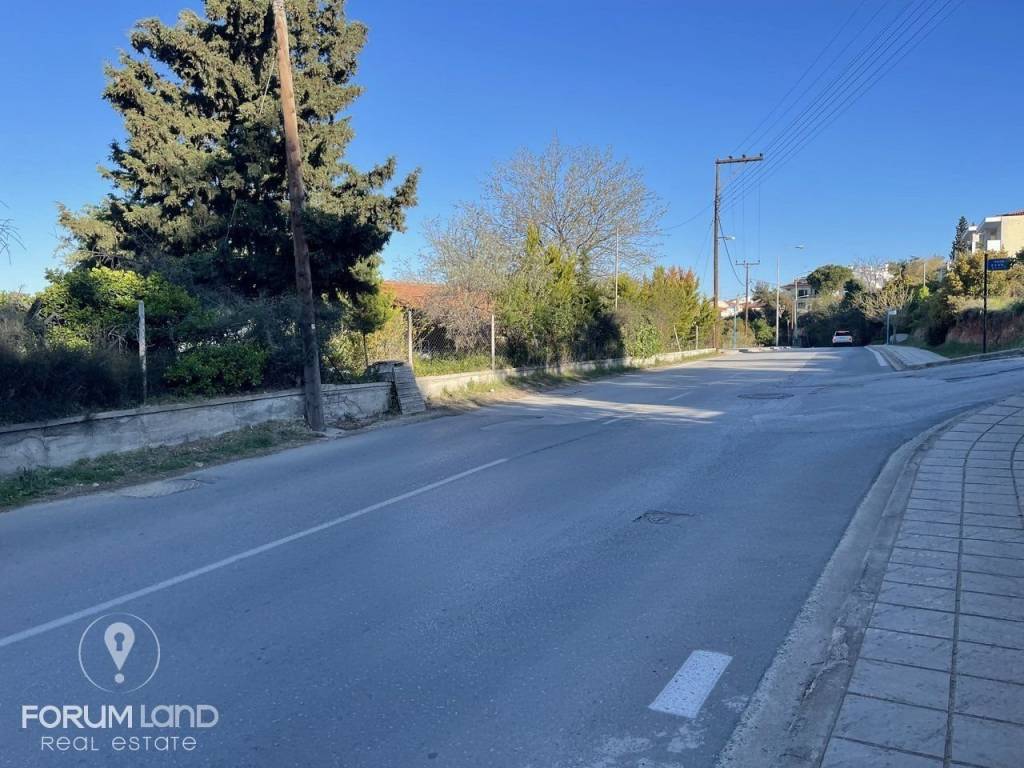 Forumland Real Estate, αγροτεμάχιο