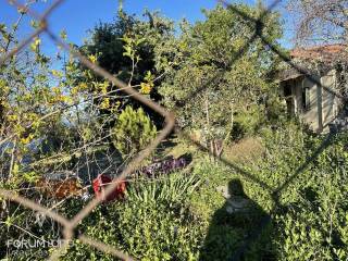 Forumland Real Estate, αγροτεμάχιο