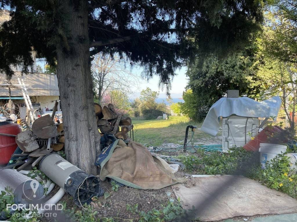 Forumland Real Estate, αγροτεμάχιο