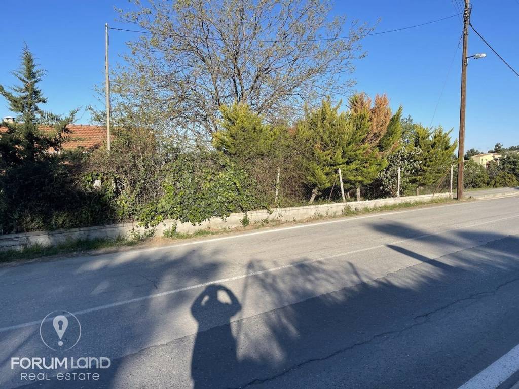 Forumland Real Estate, αγροτεμάχιο