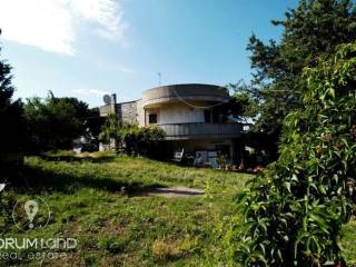 Forumland Real Estate, Αγροτεμάχιο