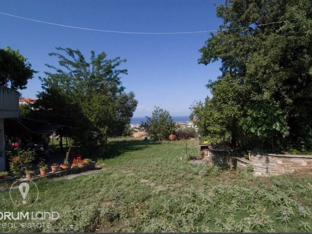 Forumland Real Estate, Αγροτεμάχιο