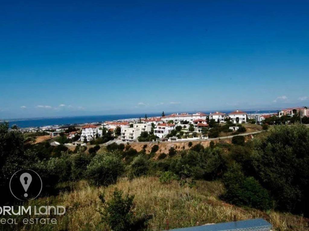 Forumland Real Estate, Αγροτεμάχιο