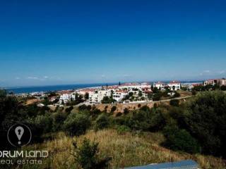 Forumland Real Estate, Αγροτεμάχιο