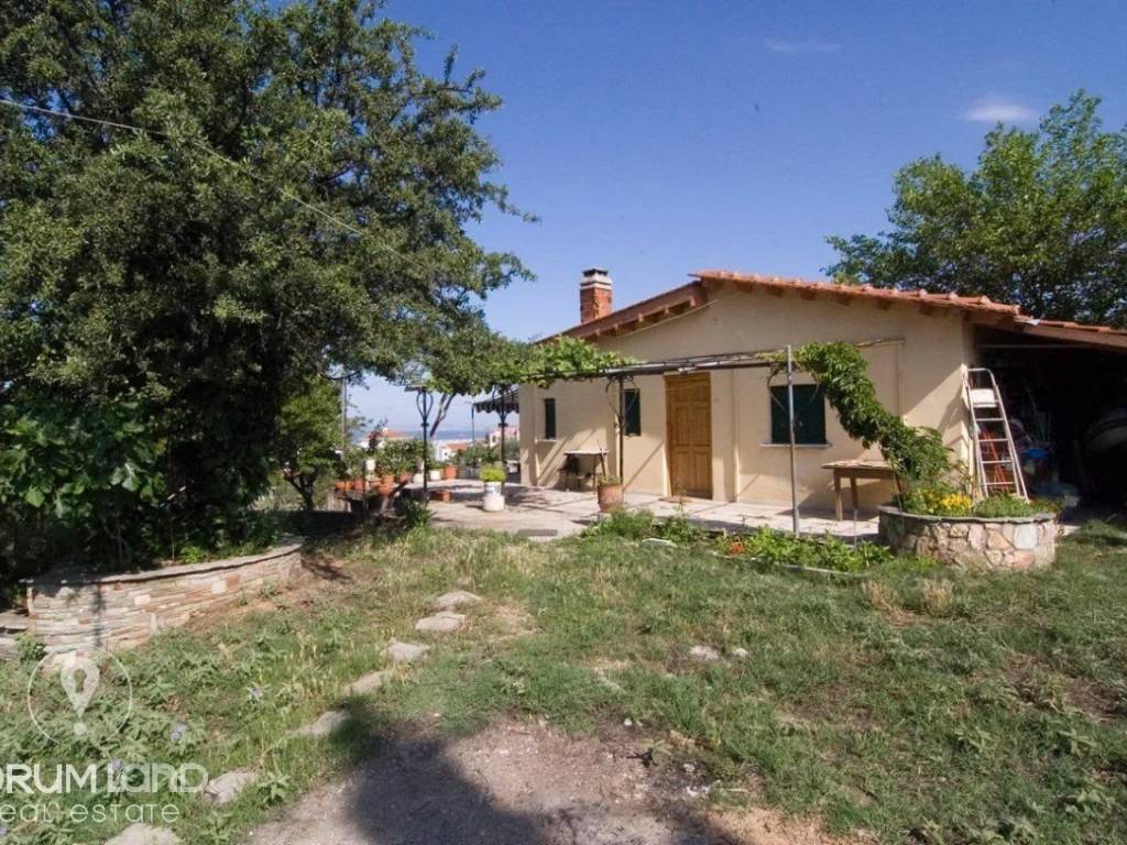 Forumland Real Estate, Αγροτεμάχιο