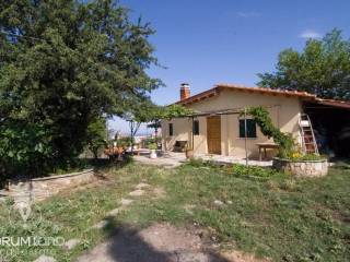 Forumland Real Estate, Αγροτεμάχιο