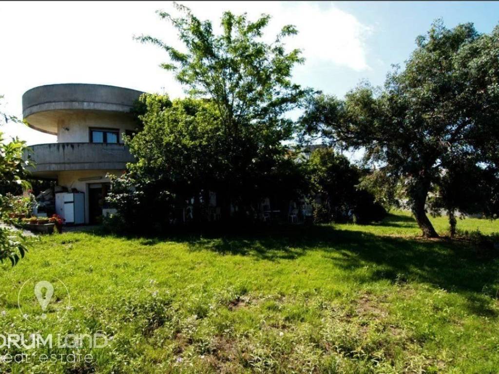 Forumland Real Estate, Αγροτεμάχιο