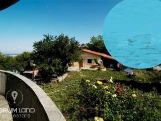 Forumland Real Estate, Αγροτεμάχιο