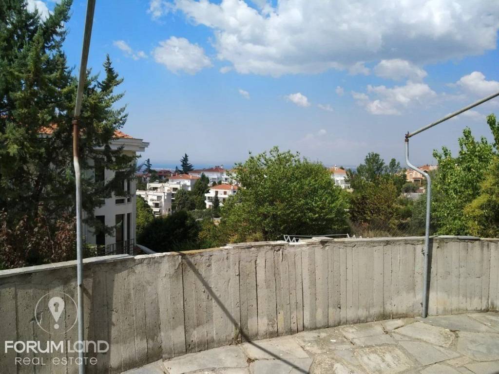 Forumland Real Estate, Αγροτεμάχιο