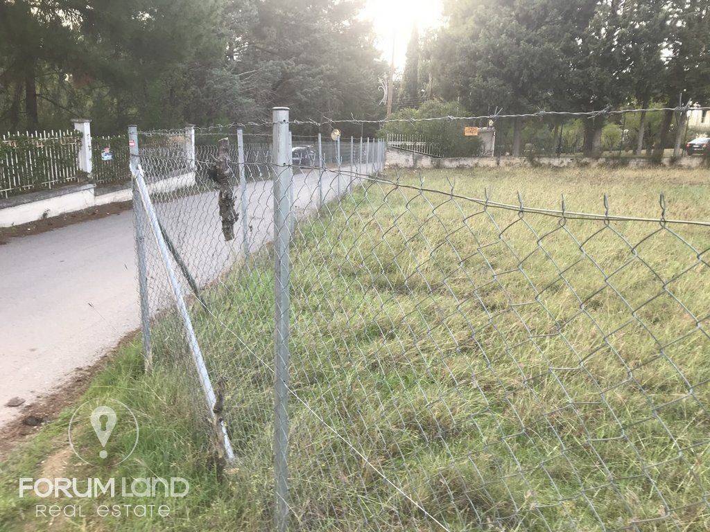 forumland Real Estate, 5.100τμ. αγροτεμάχιο