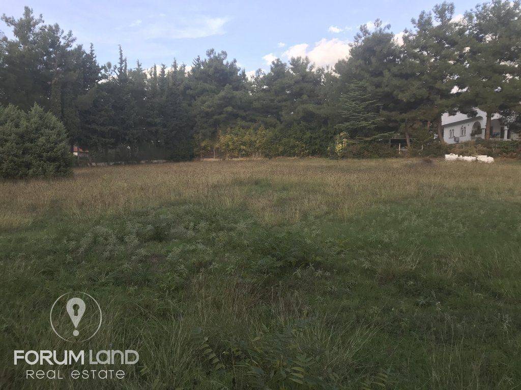 forumland Real Estate, 5.100τμ. αγροτεμάχιο