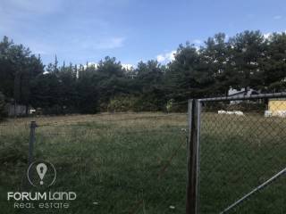 forumland Real Estate, 5.100τμ. αγροτεμάχιο