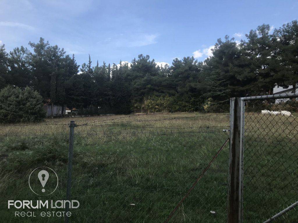 forumland Real Estate, 5.100τμ. αγροτεμάχιο