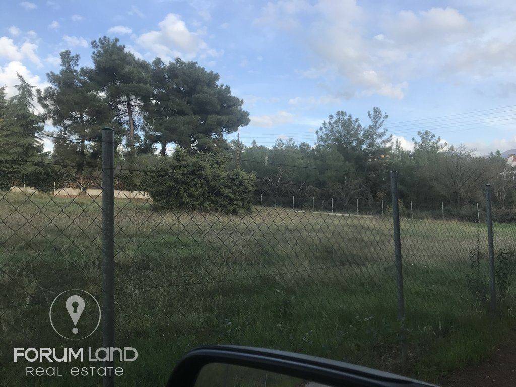 forumland Real Estate, 5.100τμ. αγροτεμάχιο