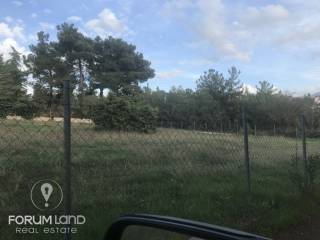 forumland Real Estate, 5.100τμ. αγροτεμάχιο
