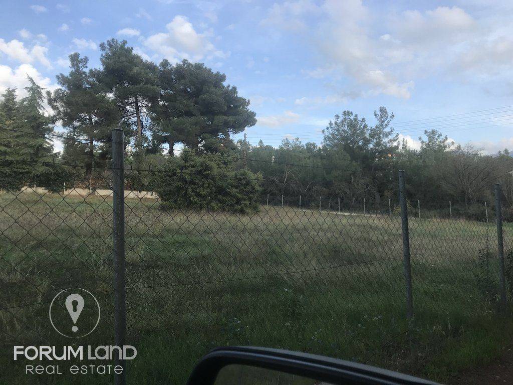 forumland Real Estate, 5.100τμ. αγροτεμάχιο