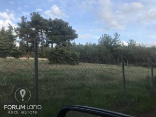 forumland Real Estate, 5.100τμ. αγροτεμάχιο