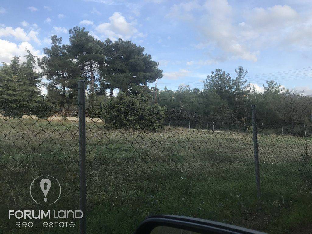 forumland Real Estate, 5.100τμ. αγροτεμάχιο