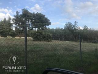 forumland Real Estate, 5.100τμ. αγροτεμάχιο