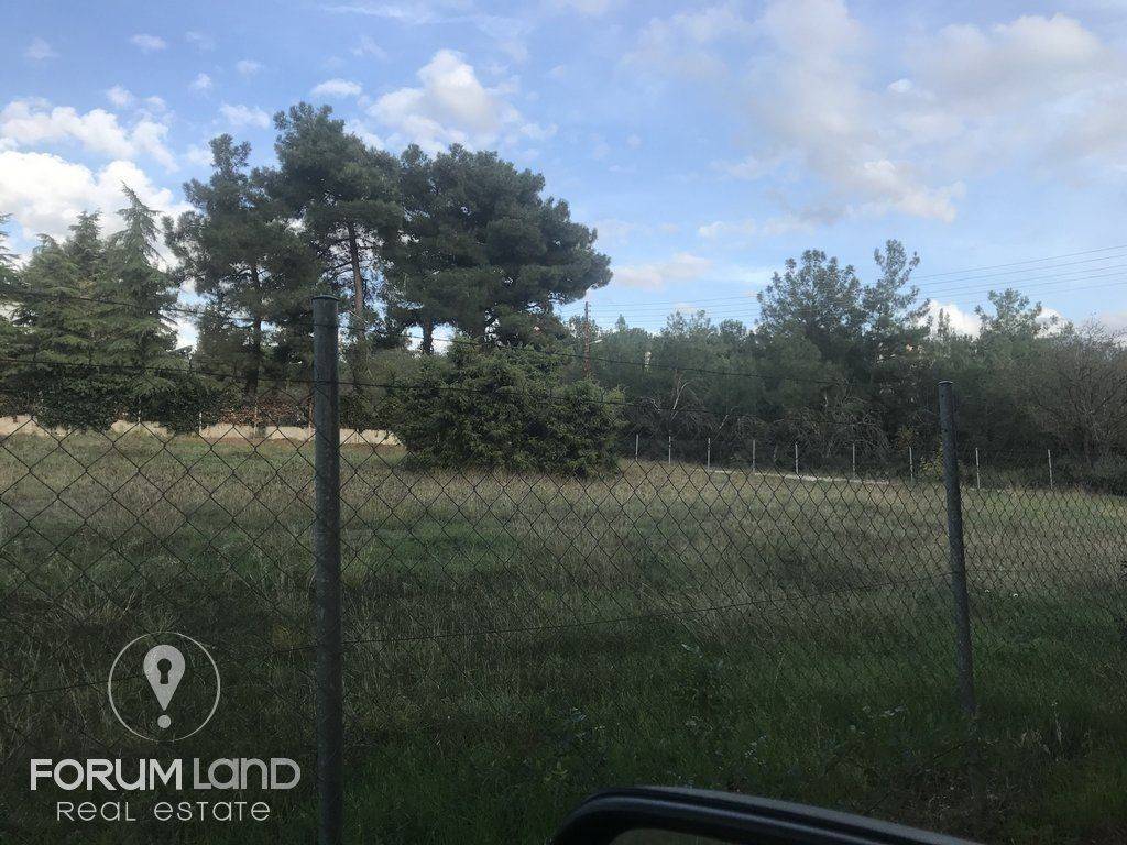 forumland Real Estate, 5.100τμ. αγροτεμάχιο