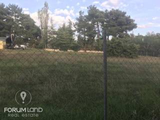 forumland Real Estate, 5.100τμ. αγροτεμάχιο