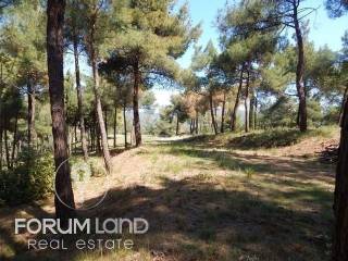 Forumland Real Estate, Agrotemachio 29.576tm