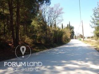 Forumland Real Estate, Agrotemachio 29.576tm