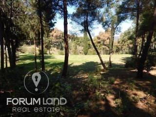 Forumland Real Estate, Agrotemachio 29.576tm