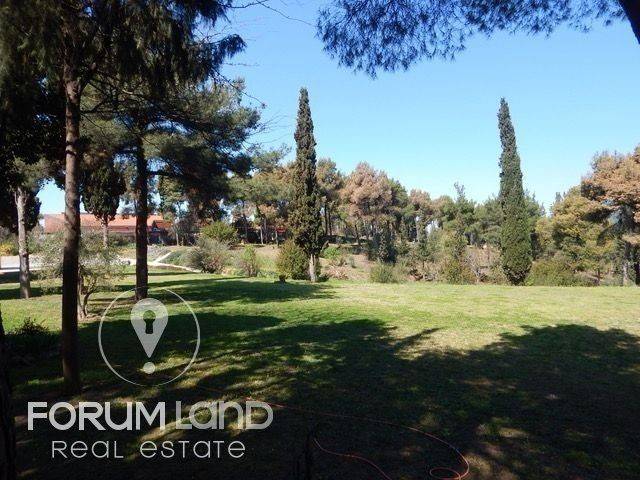 Forumland Real Estate, Agrotemachio 29.576tm
