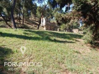 Forumland Real Estate, Agrotemachio 29.576tm