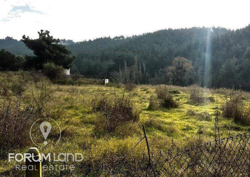 Forumland Real Estate, αγροτεμάχιο 5.274τμ
