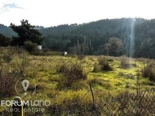 Forumland Real Estate, αγροτεμάχιο 5.274τμ