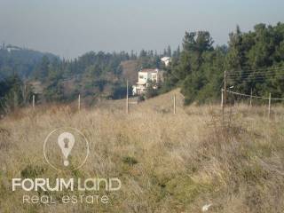 Forumland Real Estate, αγροτεμάχιο 5.274τμ