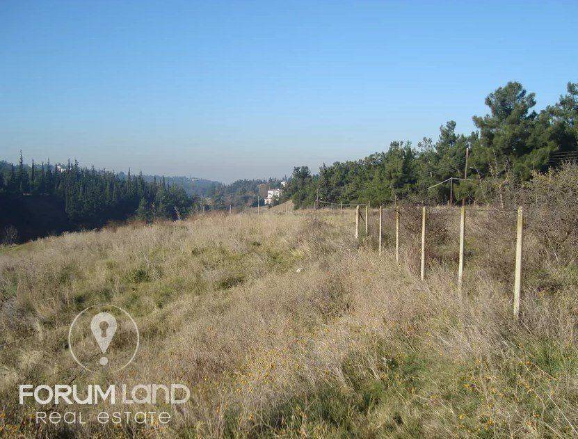 Forumland Real Estate, αγροτεμάχιο 5.274τμ