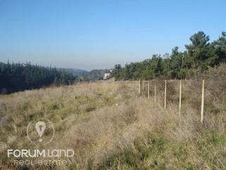 Forumland Real Estate, αγροτεμάχιο 5.274τμ
