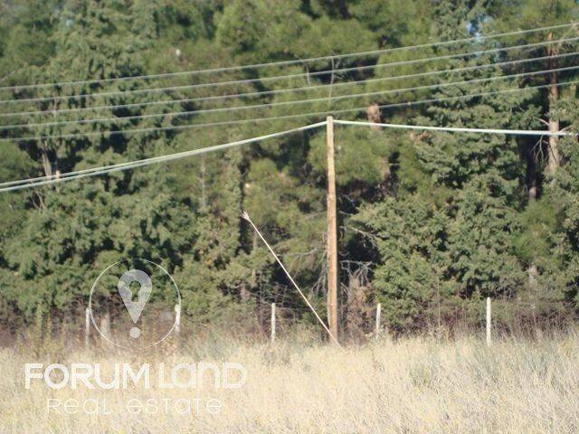 Forumland Real Estate, αγροτεμάχιο 5.274τμ