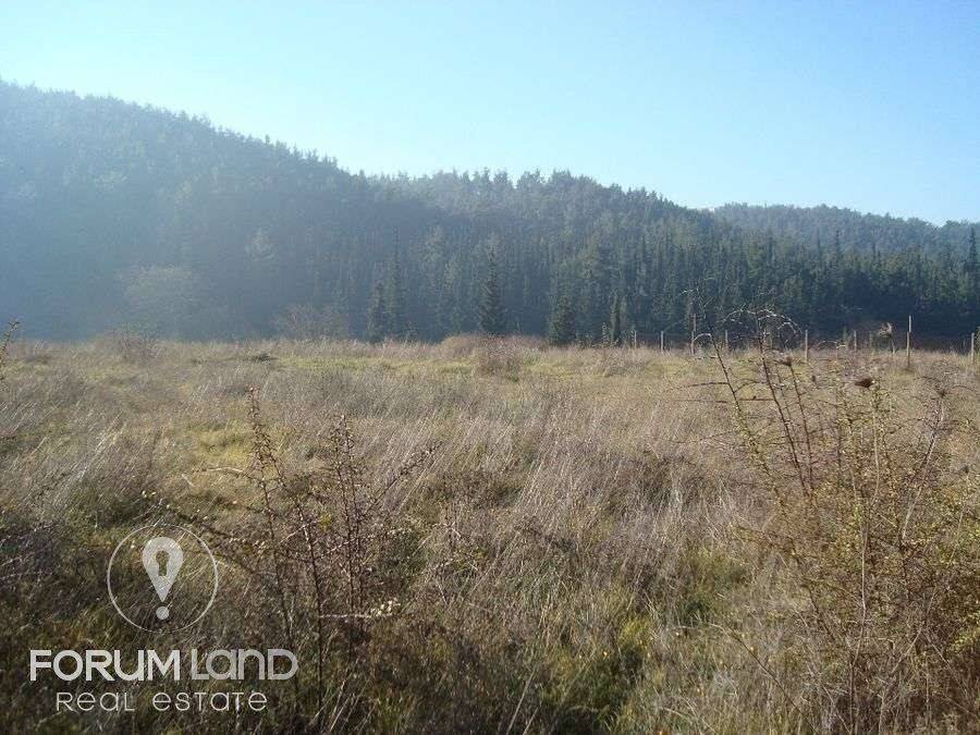 Forumland Real Estate, αγροτεμάχιο 5.274τμ