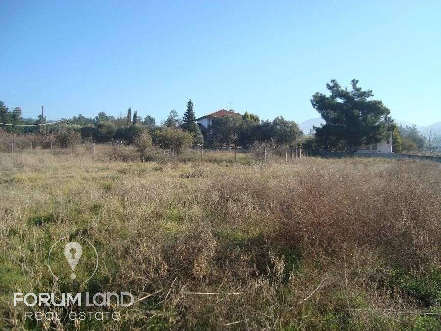 Forumland Real Estate, αγροτεμάχιο 5.274τμ